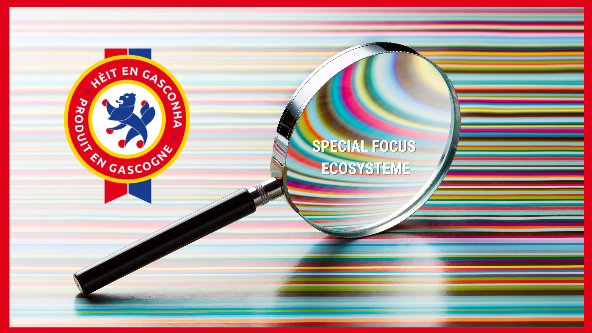 Pourquoi les Landes, le Gers, le Béarn ou...le bas Adour Bayonnais peinent à s’identifier à la Gascogne ?